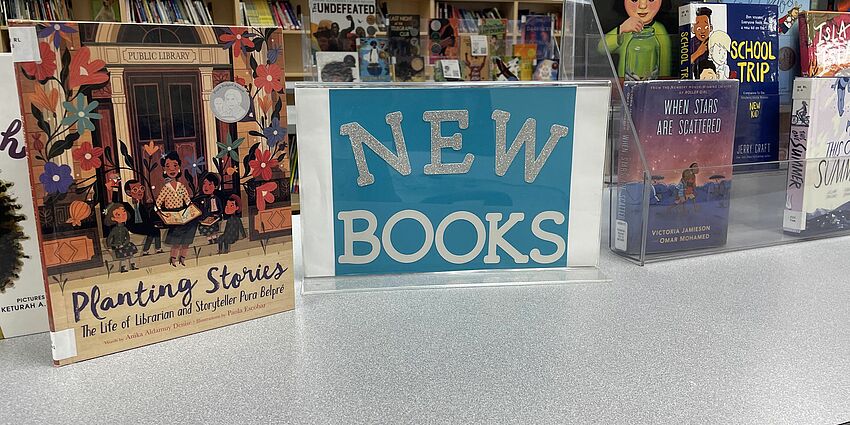 Library display of new books