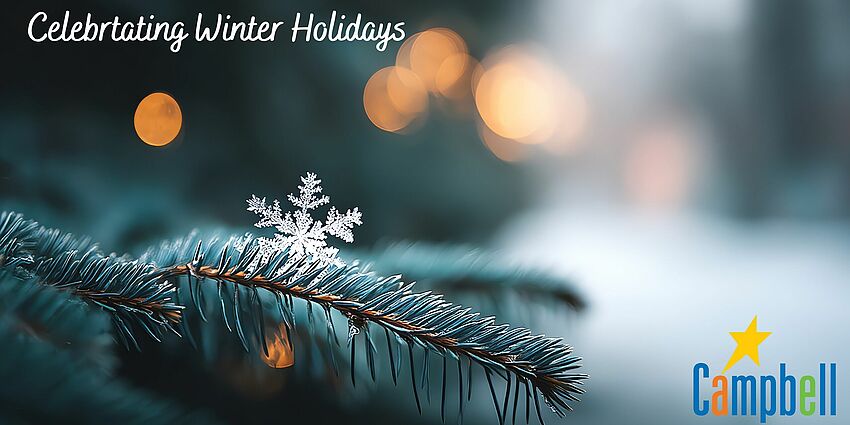 Photo of snowflake on a pine tree